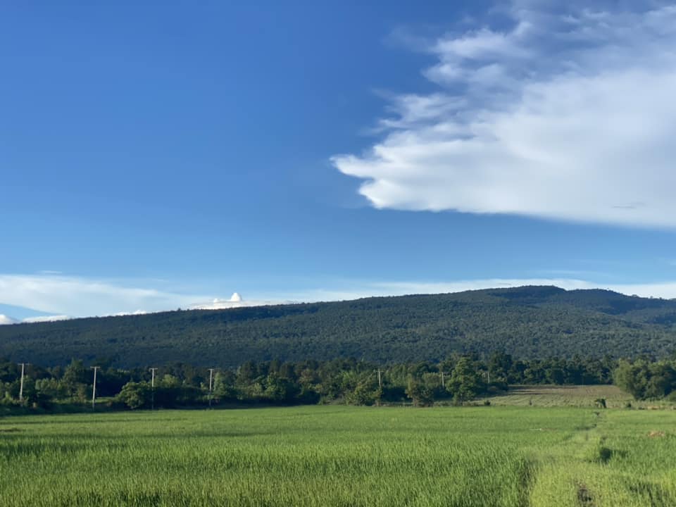 ขายที่ดินชัยภูมิ เมืองชัยภูมิ 15-3-21.7