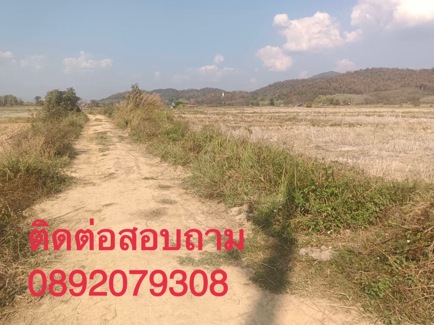 ขายที่ดินเชียงราย เชียงของ 