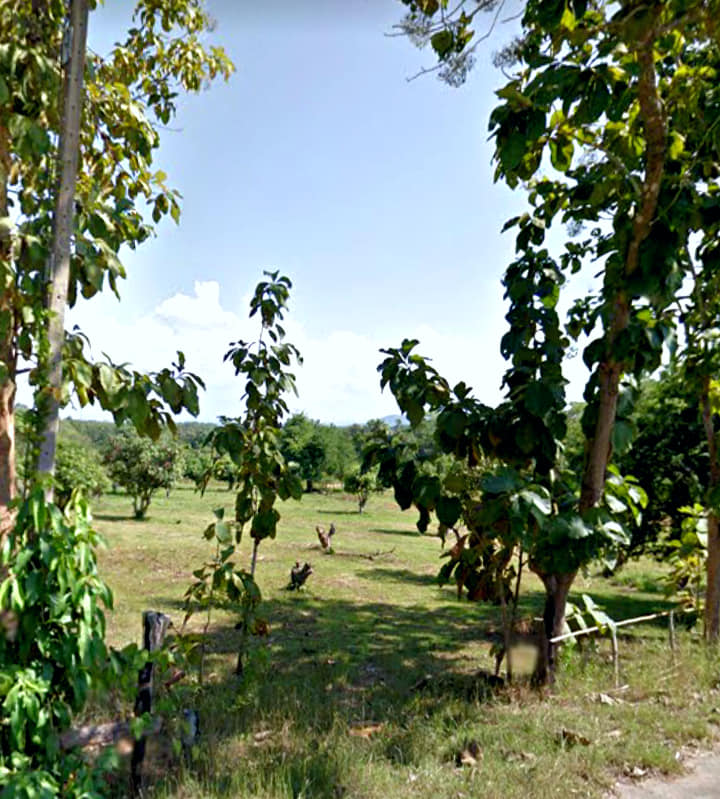 ที่ดินแปลงสวยมาก​ น่าน 5-3-0.6