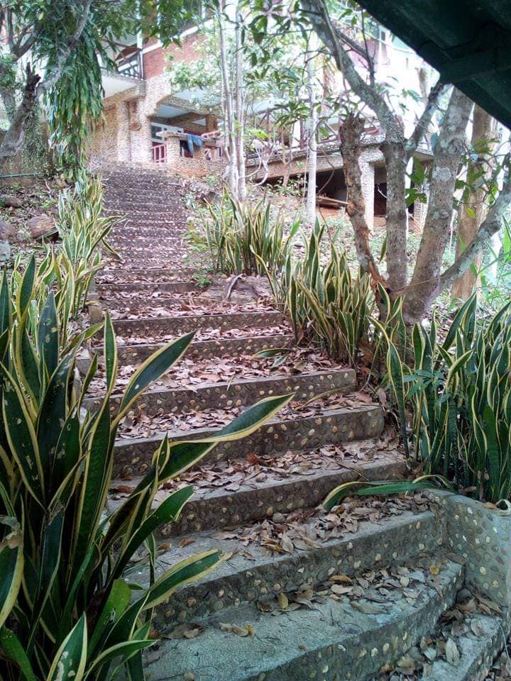 บ้านและที่ดินพร้อมอยู่ น่าน 3-1-32