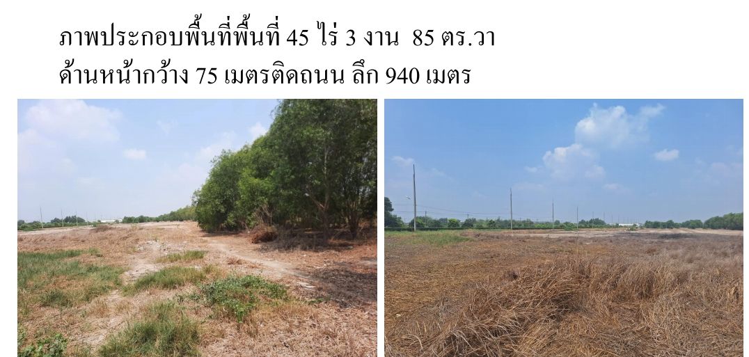 ขายที่ดินเปล่า 45 ไร่ติดถนนลำลูกกาคลอง 7 หน้ากว้าง 4 เลนรองรับอนาคต 6 เลนสวยมาก