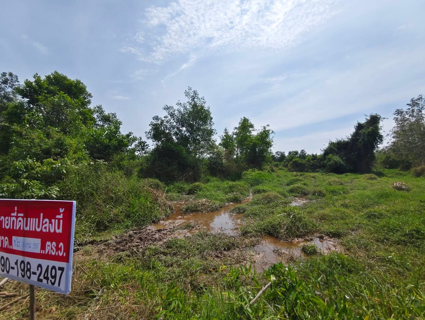 ขายที่ดิน บ้านพรุ ขนาด เกือบ 2 ไร่