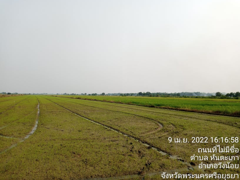ที่ดินที่นา วังน้อย อยุธยาฯ 71-0-90