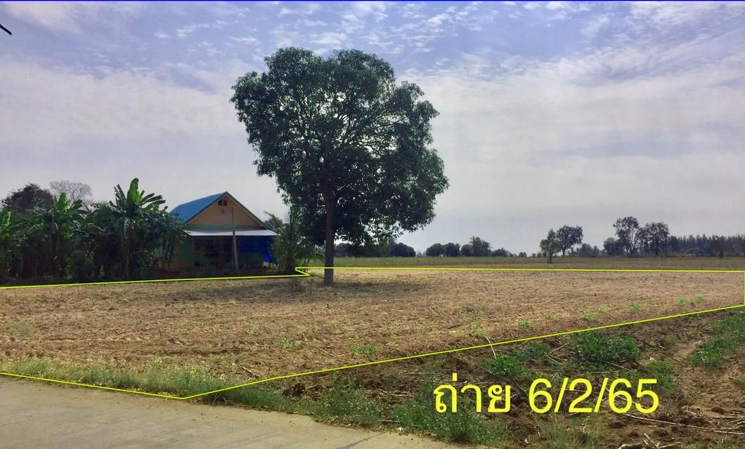 ขายที่ดินเปล่า