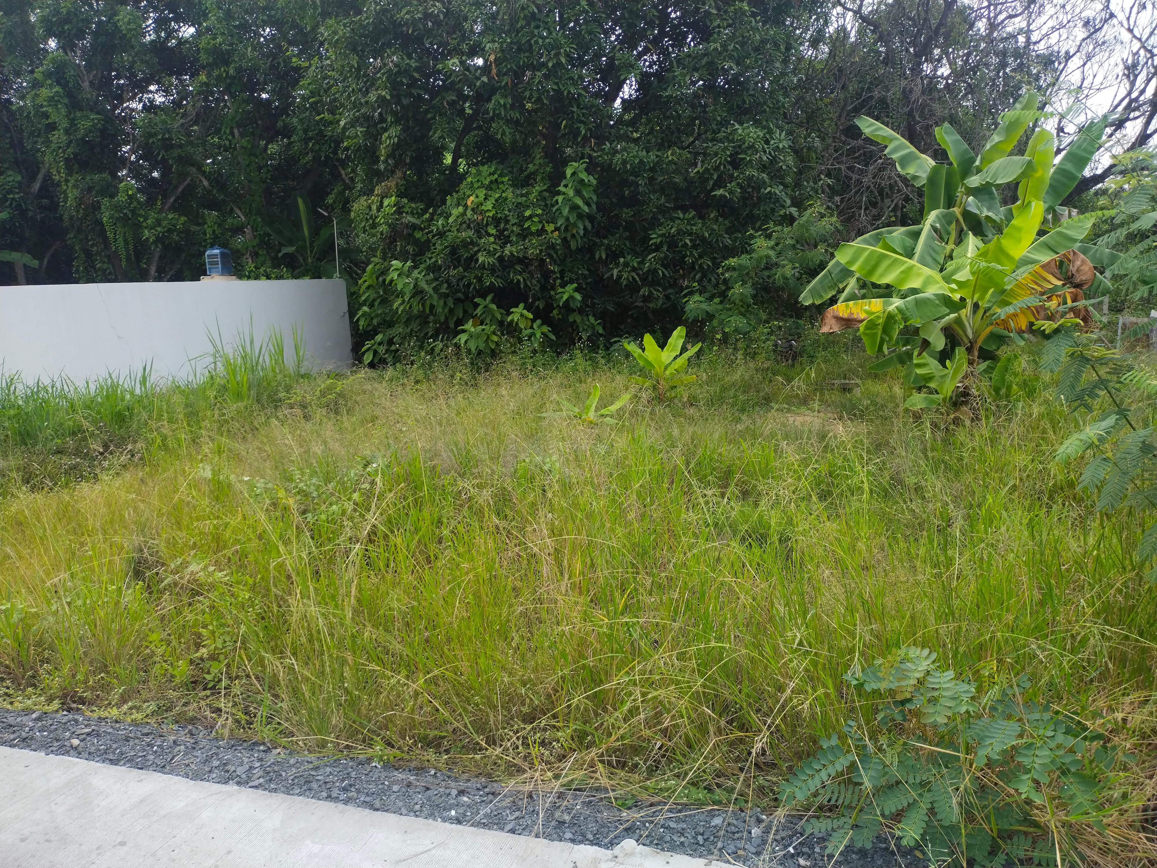 ต้องการขายที่ดินติดกับตัวเมืองเชียงใหม่