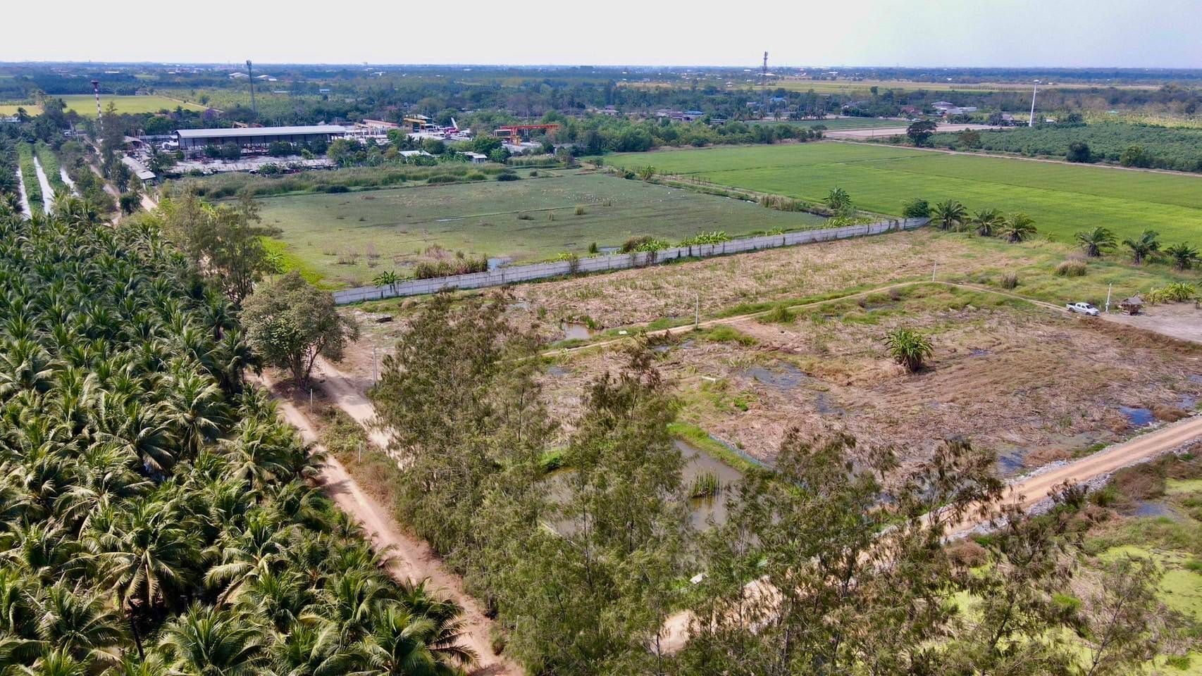 ที่ดินเงินผ่อน ซอยพนารัตน์ คลอง 9 หนองเสือ ปทุมธานี