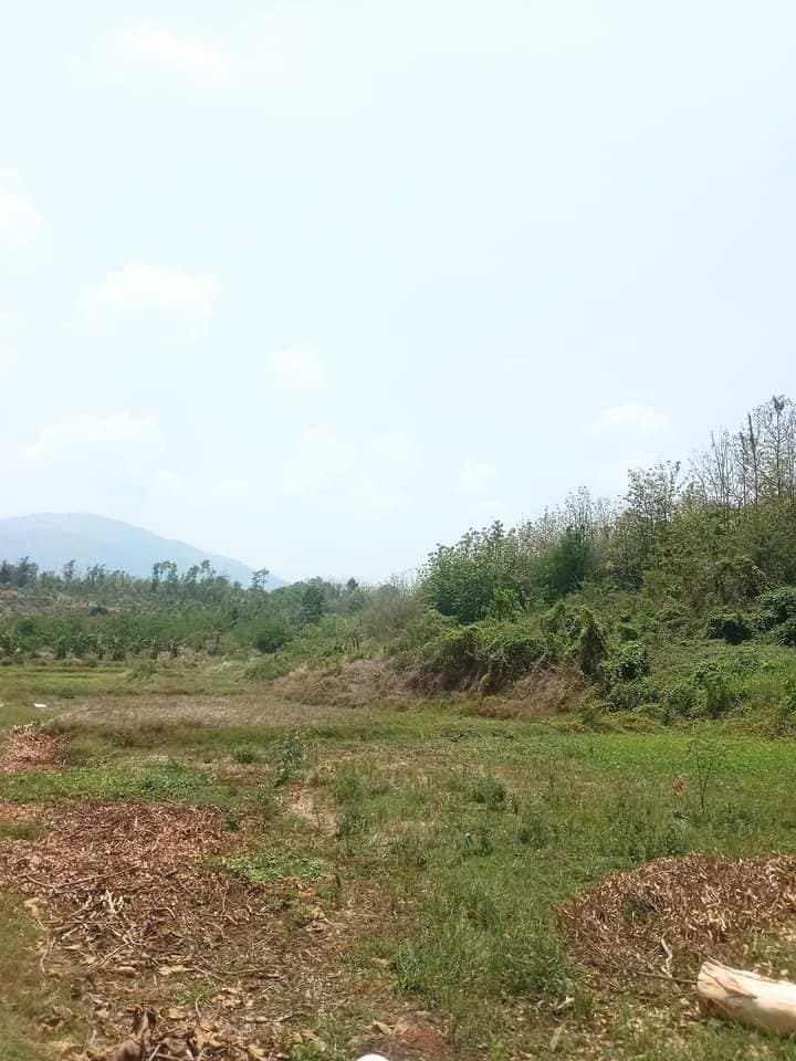 ขายที่ดินเปล่า อุตรดิตถ์ 10-0-42