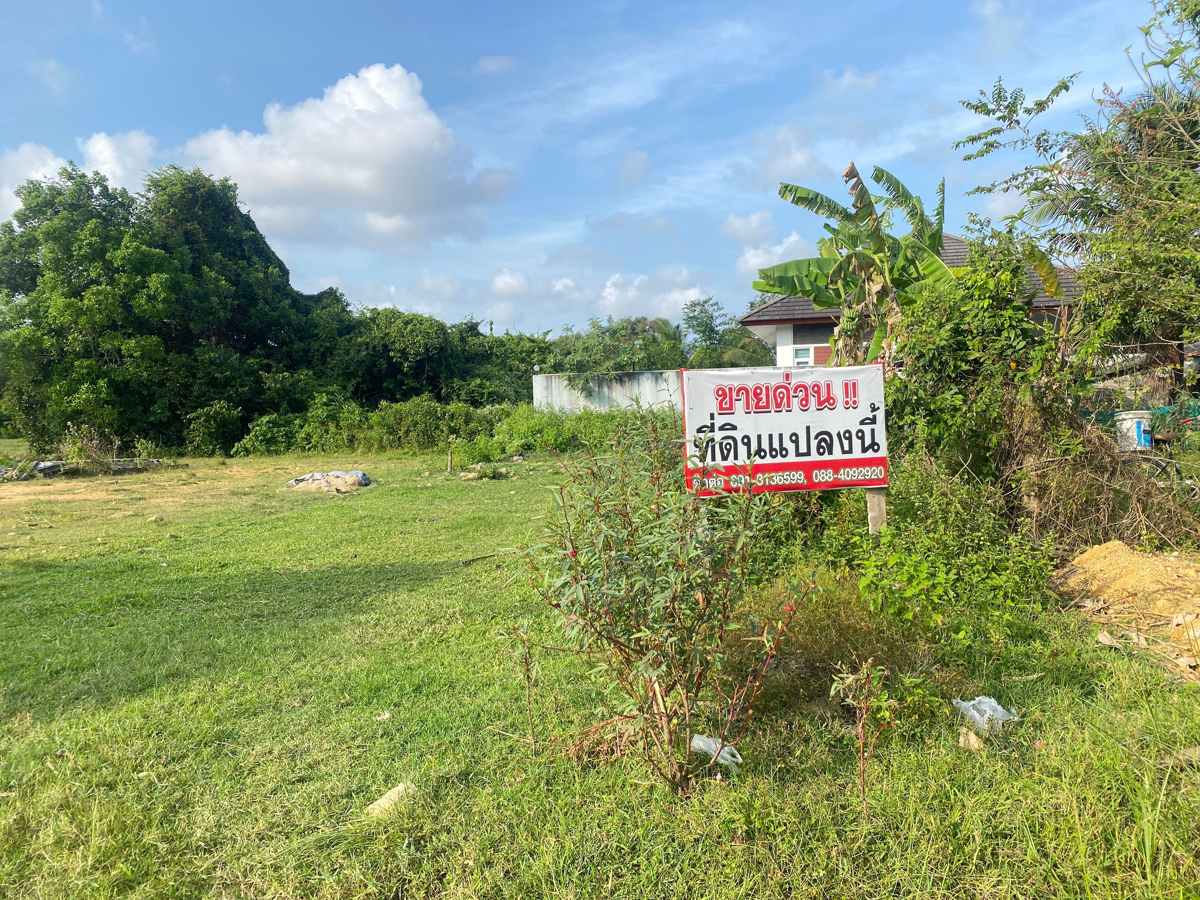 ขายที่ดิน 3 ห้อง ด่วน สงขลา