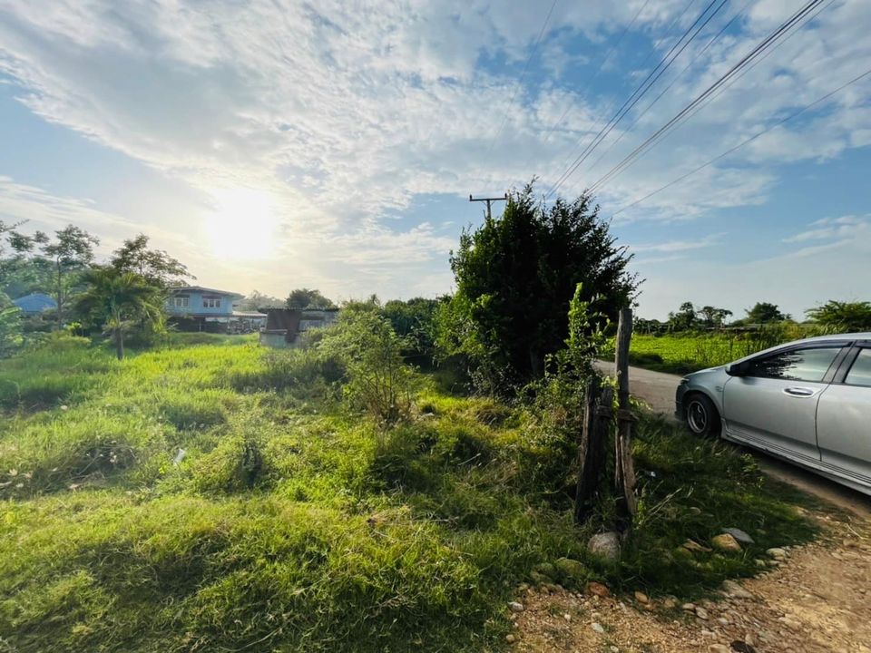 ที่ดินราคาถูกและสวย เดิมนางบวช สุพรรณบุรี 170 ตรว.