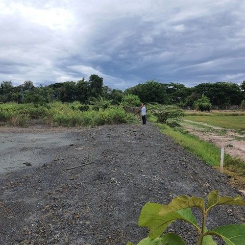 ขายที่ดิน 1 ไร่ หารแก้ว หางดง เชียงใหม่ เหมาะสร้างคาเฟ่-สตูดิโอ