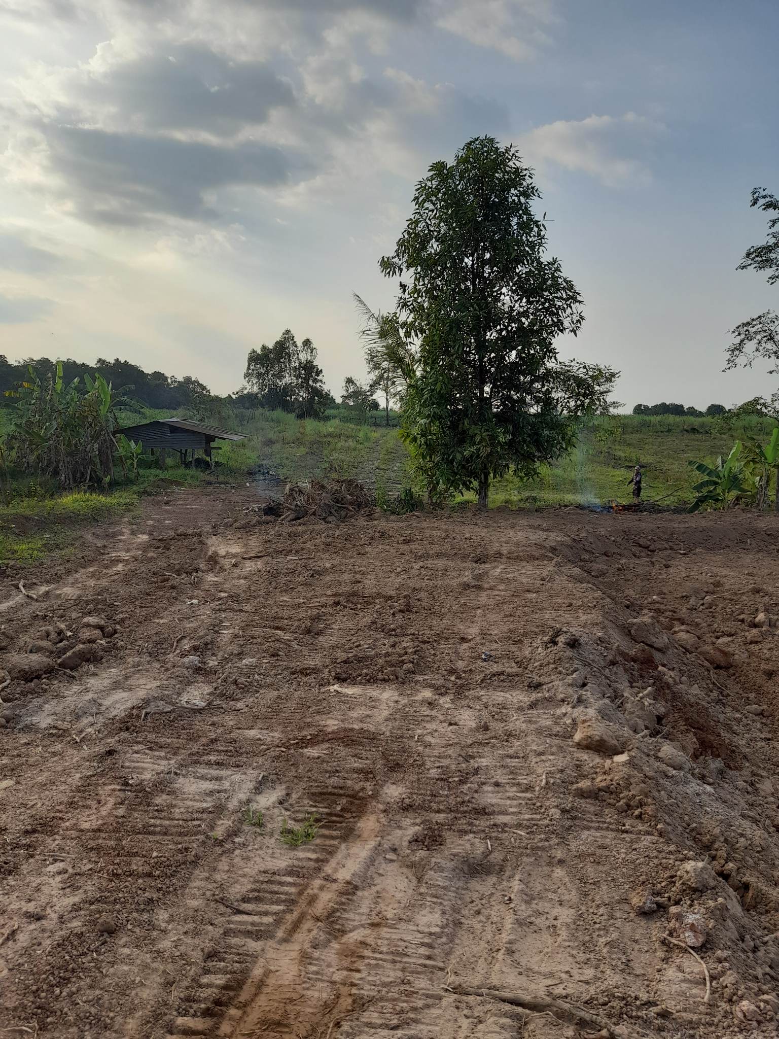 ขายที่ดินหนองคาย ท่าบ่อ 9-3-43