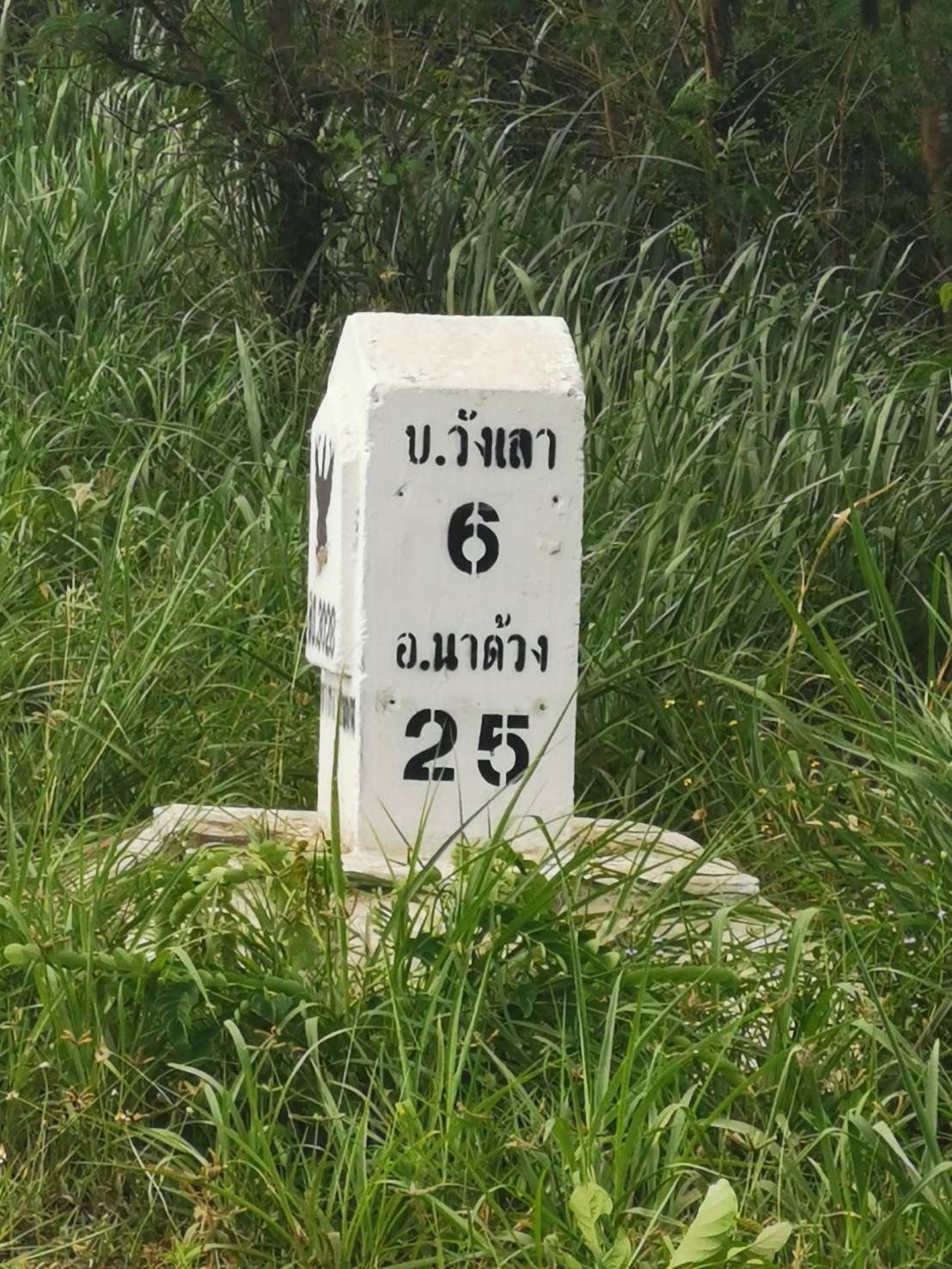 แบ่งขายที่ดินเปล่า 3 แปลง หน้ากว้าง ต.ผาอินทร์แปลง เอราวัณ จ.เลย
