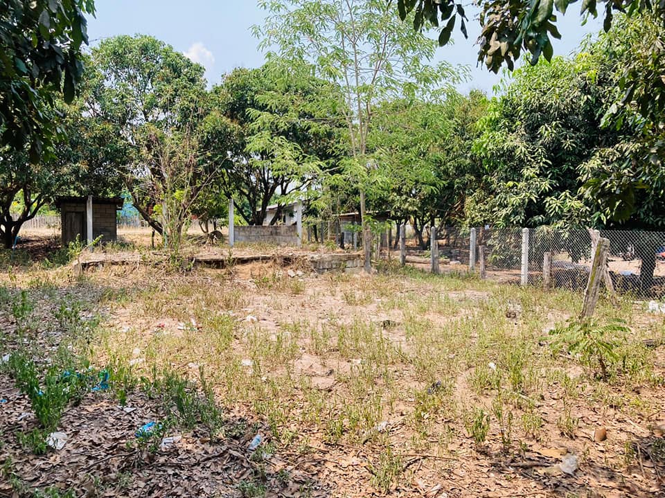 ที่ดินเปล่าในชุมชน ติดถนน 2ด้าน ลำพูน 145 ตรว.