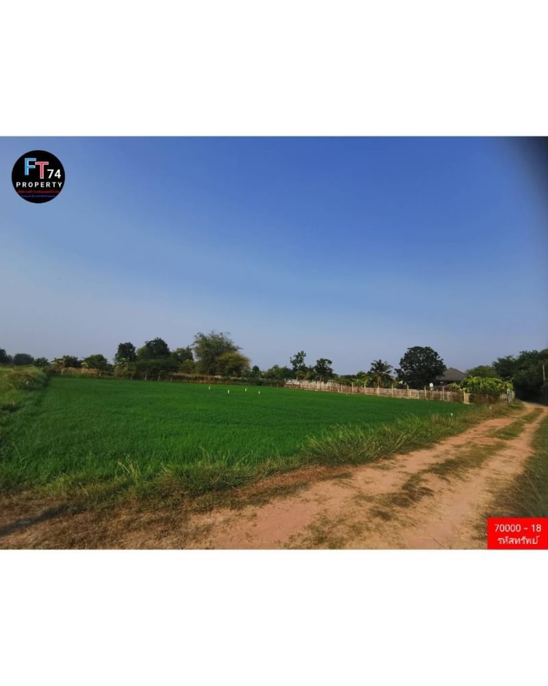 70000-18 ขายที่ดินแปลงสวย ท่ามกลางธรรมชาติ
