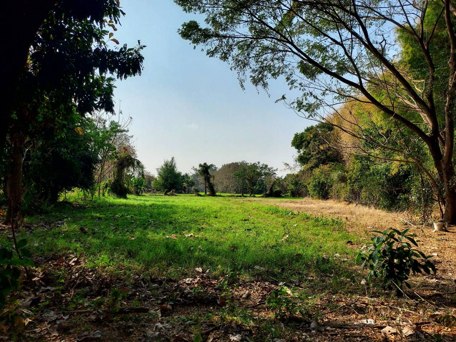 ที่ดินใกล้เมือง อ.สันกำแพง ติดอบต.แช่ช้าง วิวสวย มีถนนคอนกรีตตัดผ่าน