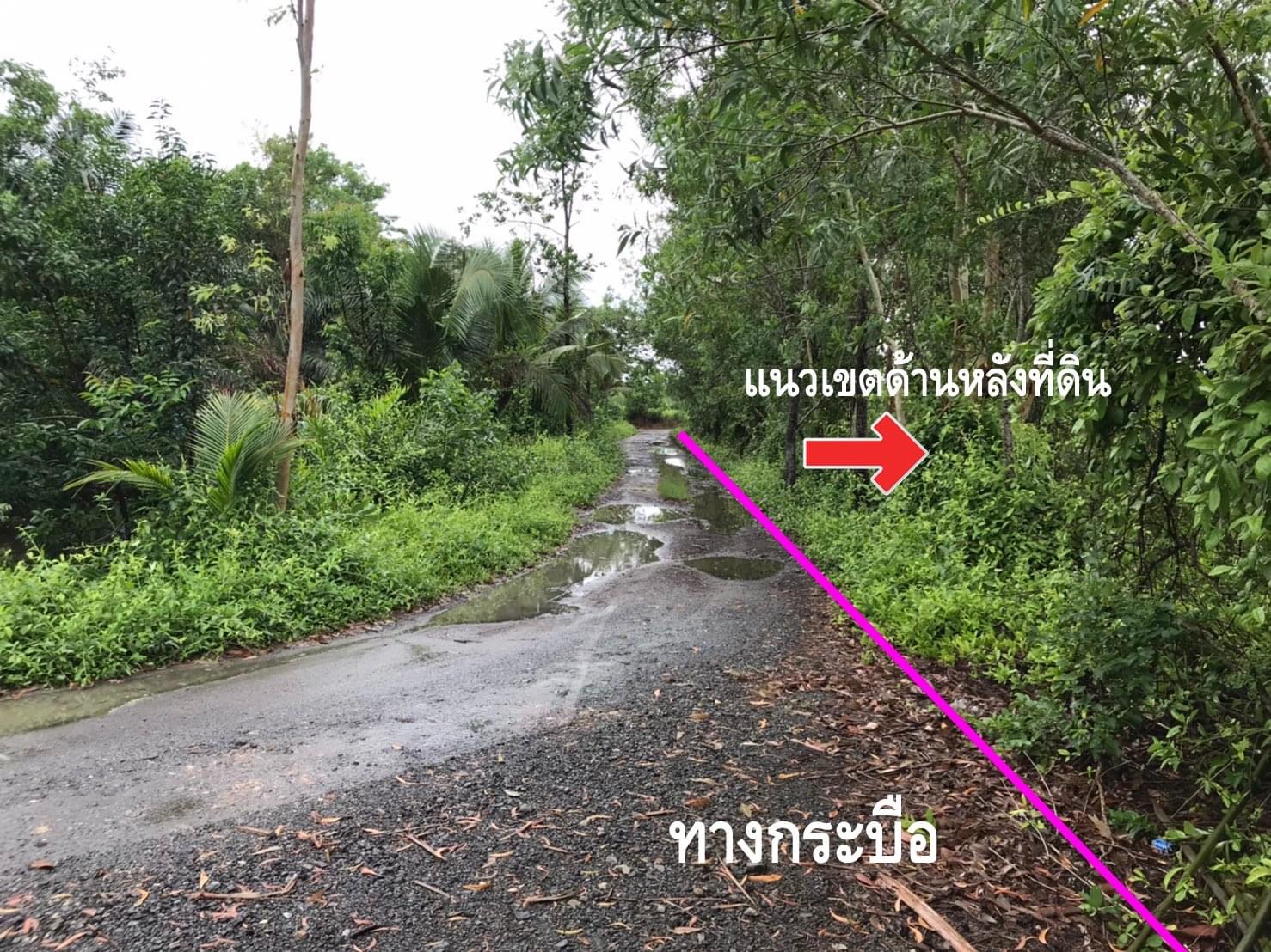 ขายที่ดิน 30 ไร่ 3 งาน 48 ตารางวา (30-3-48) ยกแปลง ยังไม่ถม หน้ากว้างติดถนนใหญ่ ต.เกาะขวาง อ.เมือง จ.จันทบุรี ราคาถูก