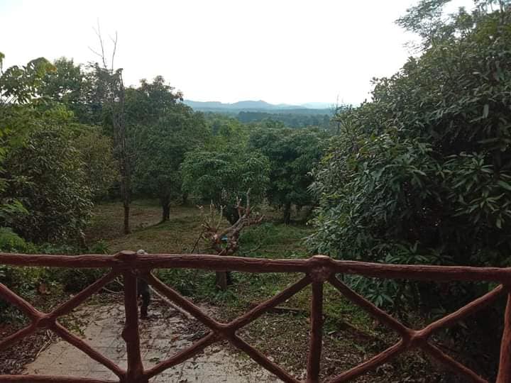 บ้านและที่ดินพร้อมอยู่ น่าน 3-1-32