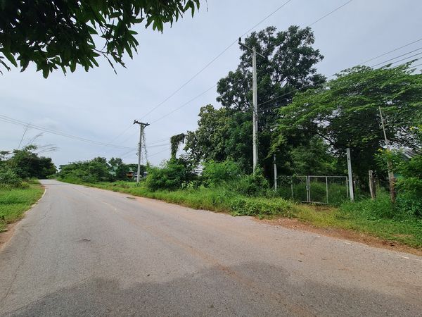 ที่ดินบ้านหนองโสมง เมืองชัยภูมิ ติดถนนลาดยาง 6-3-16
