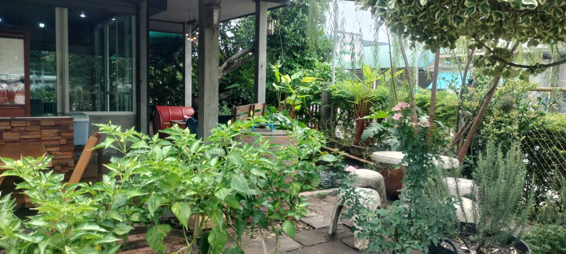 ขายบ้านระยอง อ.เมือง บ้านพร้อมที่ดิน ทำเลสวย บ้านสวยบรรยากาศดี แหล่งอำนวยความสะดวกรอบด้าน 1-1-15 ไร่.