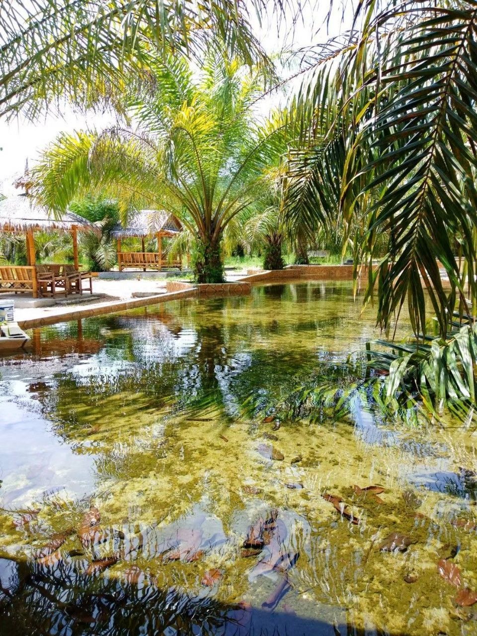 ขายที่ดินพร้อมบ้าน 5 หลังสไตล์วินเทจ