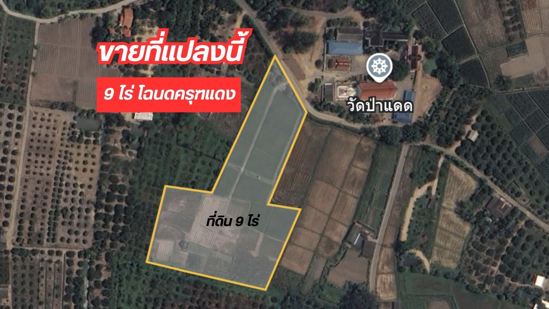 ขายที่ดินเชียงใหม่ แม่วาง 🎯 ที่ดินขายถูก 9ไร่ (ตรงข้ามวัดป่าแดด) 🎯
