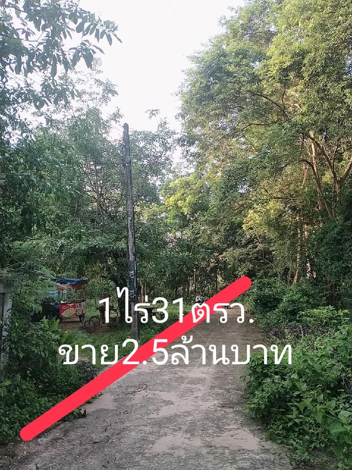 ที่ดินพร้อมสิ่งปลูกสร้าง อุบลราชธานี 1-0-31 ไร่