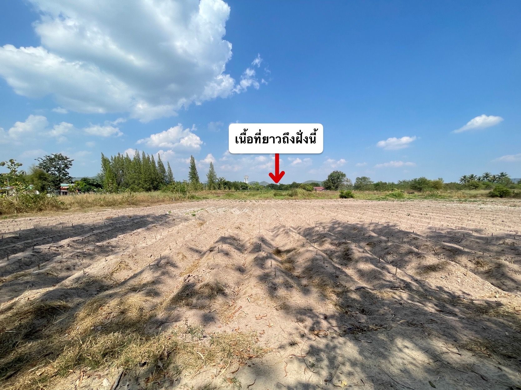📢 ขายที่ดินโฉนด‼️ 4 ไร่ 2 งาน 79 ตร.ว. อ.สวนผึ้ง จ.ราชบุรี ไร่ละ 550,000 บาท 🔥 มีไฟฟ้า น้ำประปา แหล่งชุมชน เดินทางสะดวก