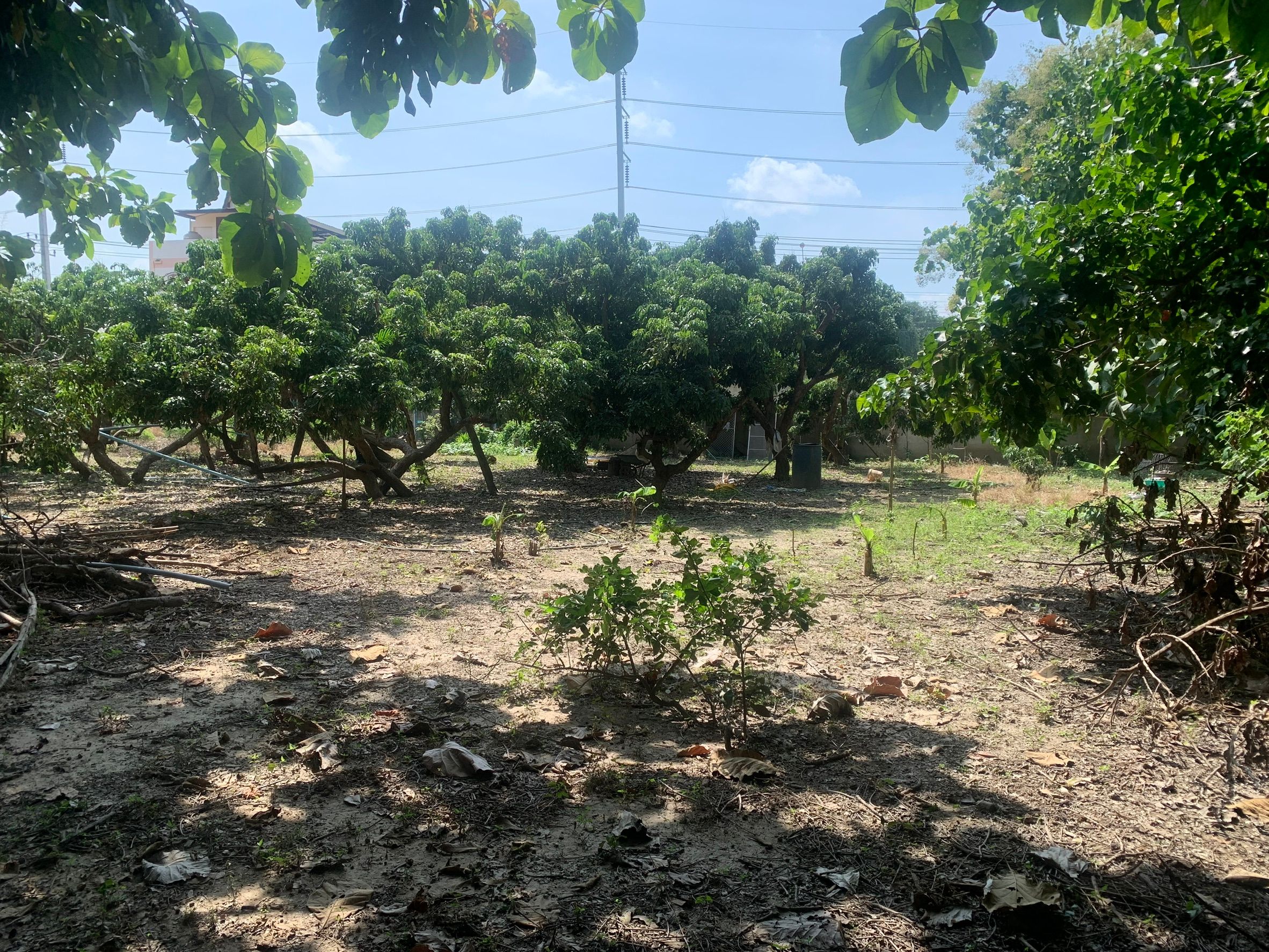 ที่ดินพร้อมบ้านราคาถูก ทำเลสวย ใกล้ชุมชน เดินทางสะดวก แหล่งอำนวยความสบายรอบด้าน