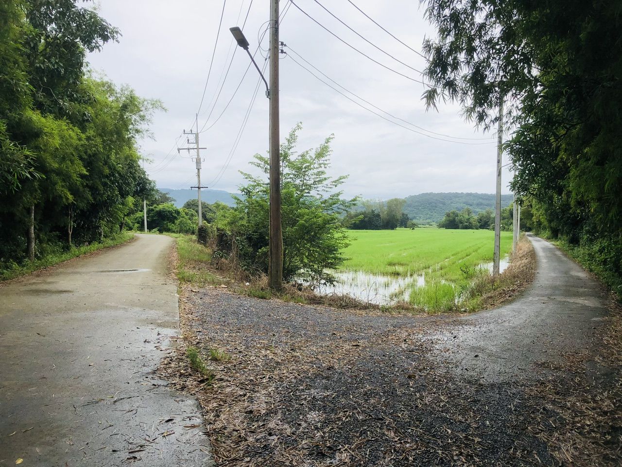 ขายที่ดิน