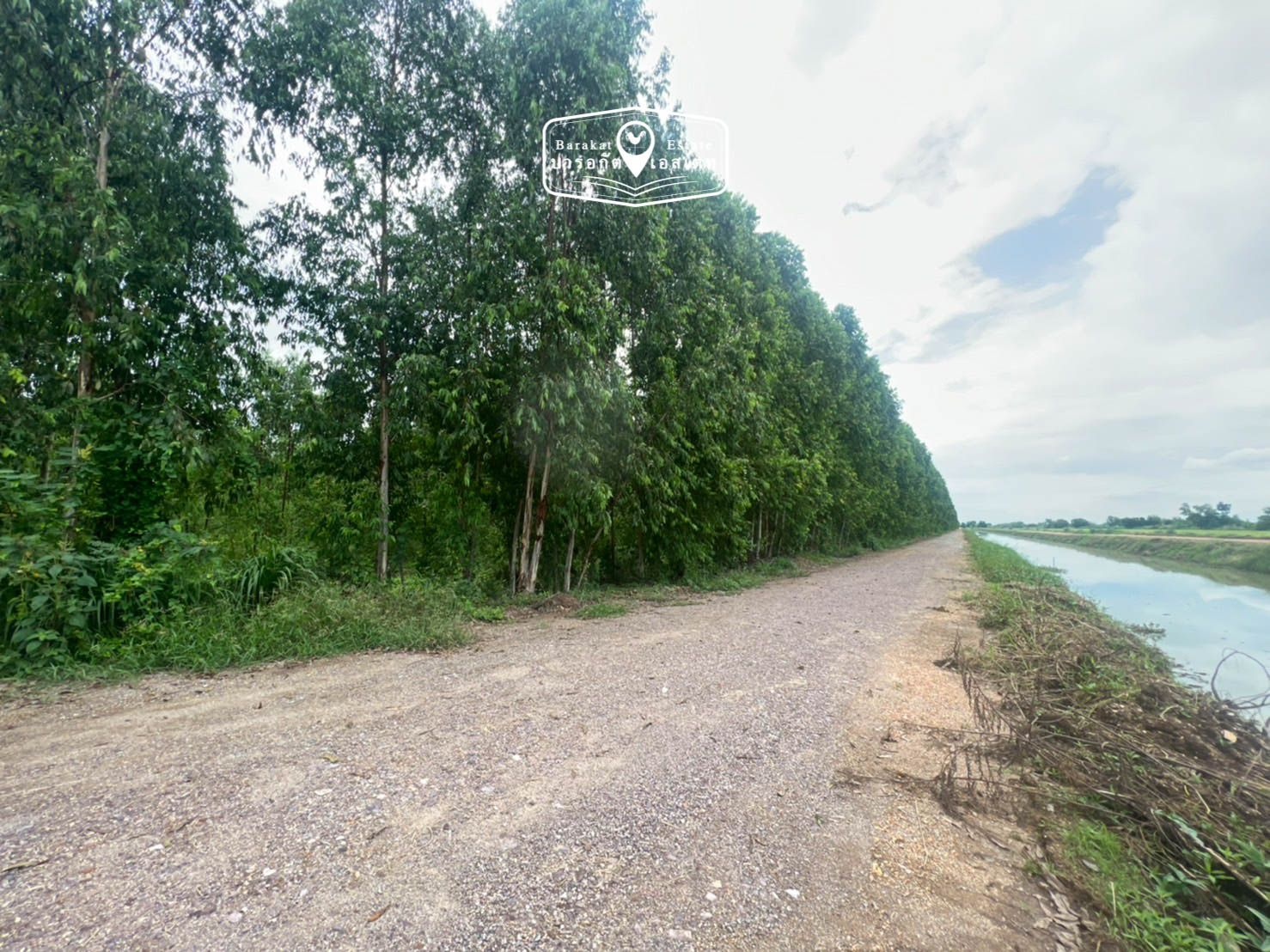 แปลงใหญ่ ปทุมธานี ที่สวย ใกล้มหาวิทยาลัย