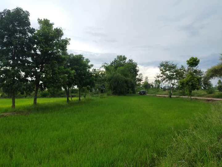 ขายที่ดิน มหาสารคาม 5-2-25 ไร่