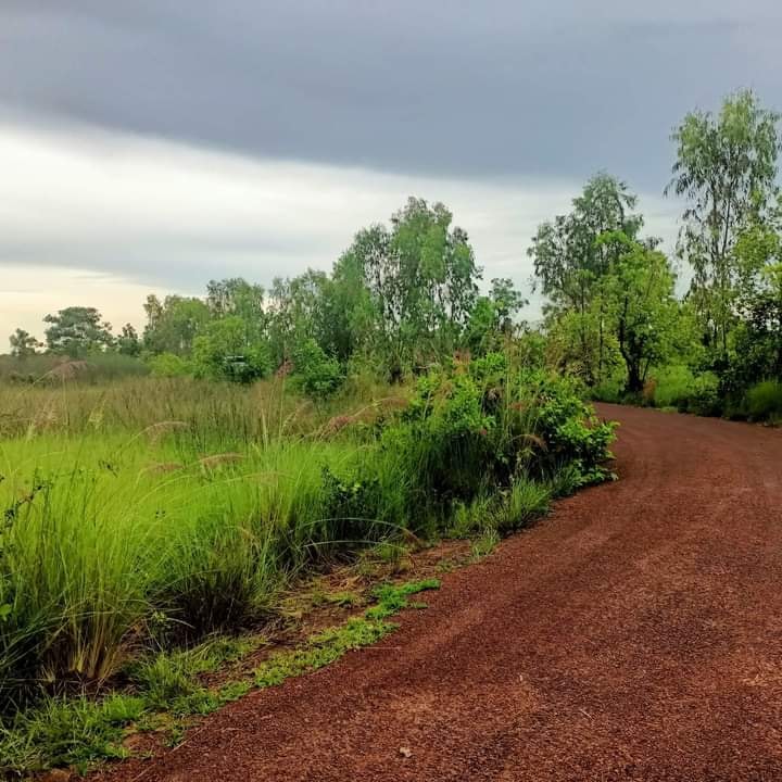ขายที่ดิน อำเภอเพ็ญจังหวัด อุดรธานี 5-3-70 ไร่