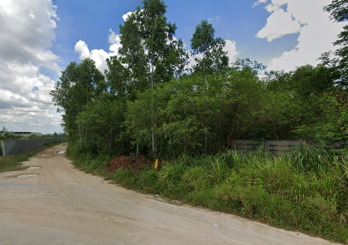 ขายที่ดินแปลงใหญ่ บ้านบึง ชลบุรี