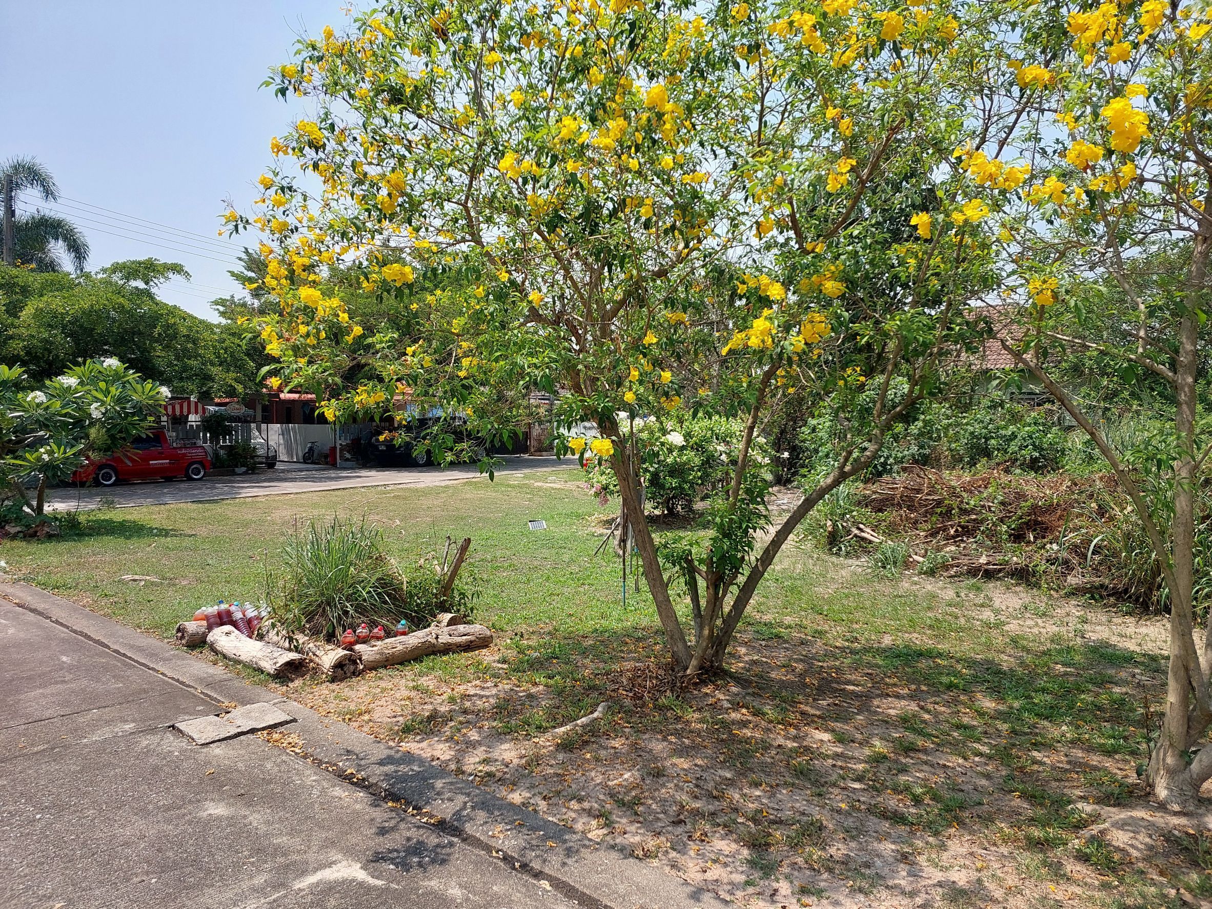 ขายที่ดินเปล่า สันทราย เชียงใหม่ 86 ตร.ว.