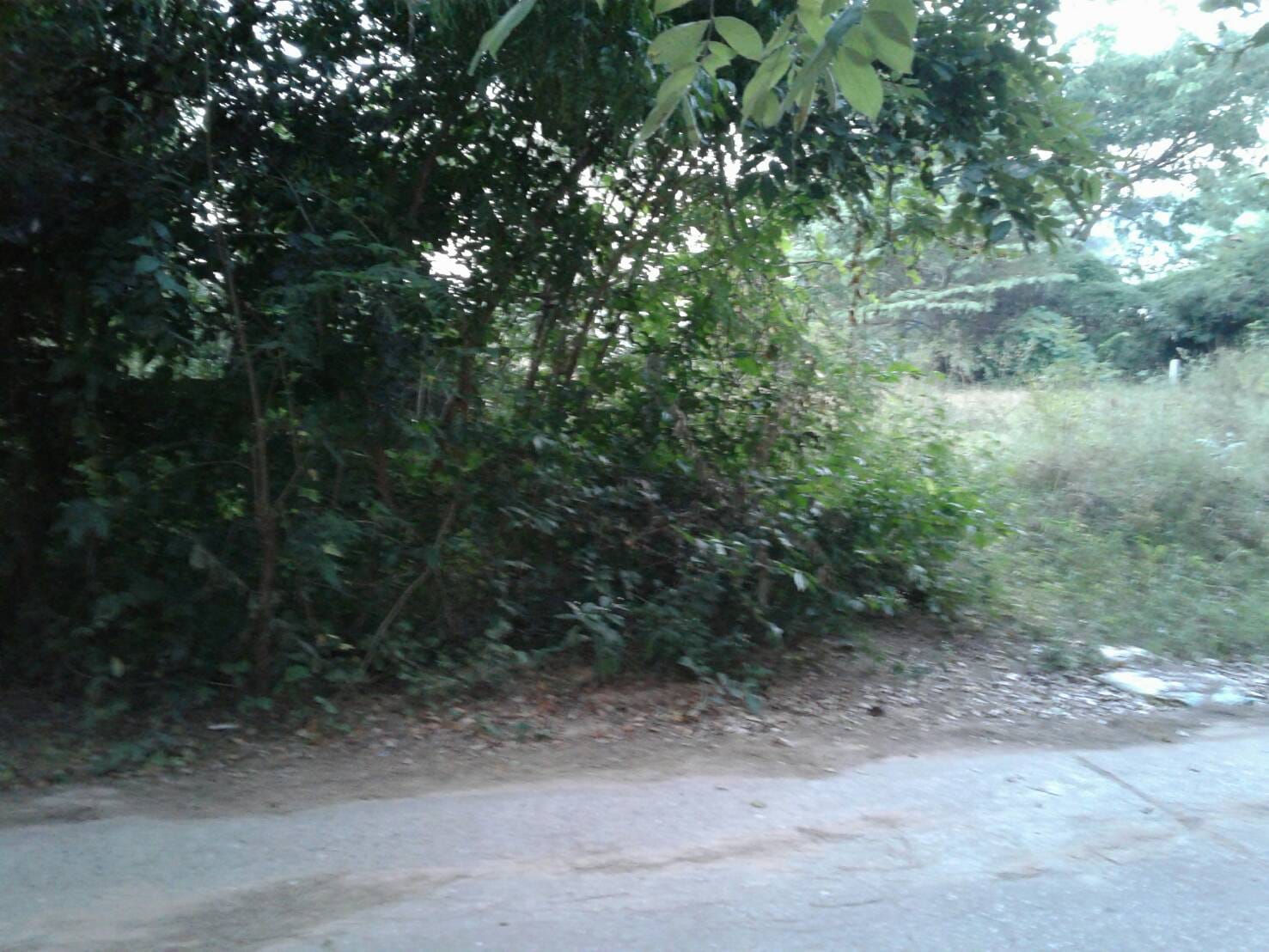 ขายที่ดิน มหาสารคาม 1 ไร่