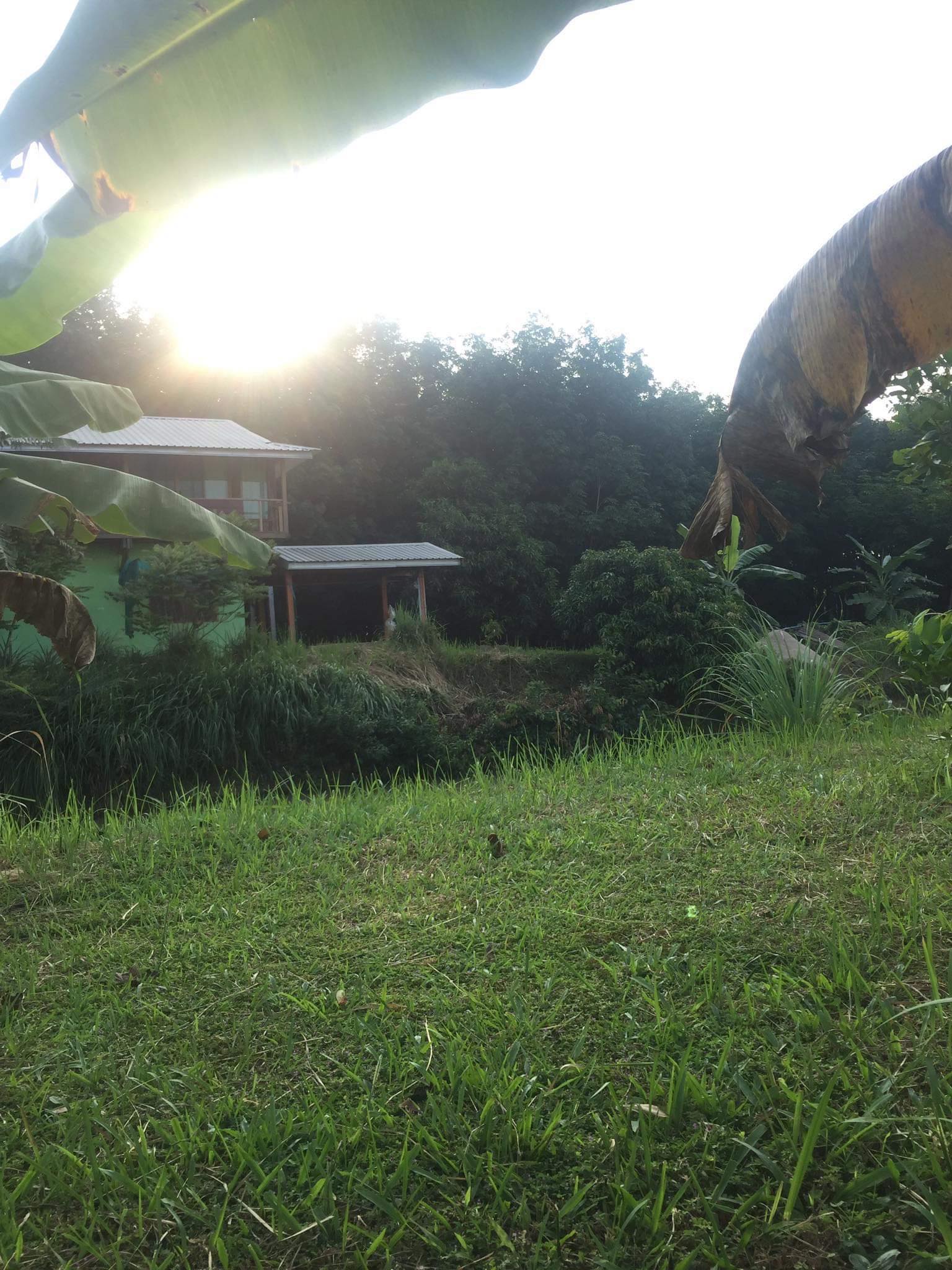 ขายบ้านสวนริมน้ำ อ.บุ่งคล้า จ.บึงกาฬ 1-3-2 ไร่