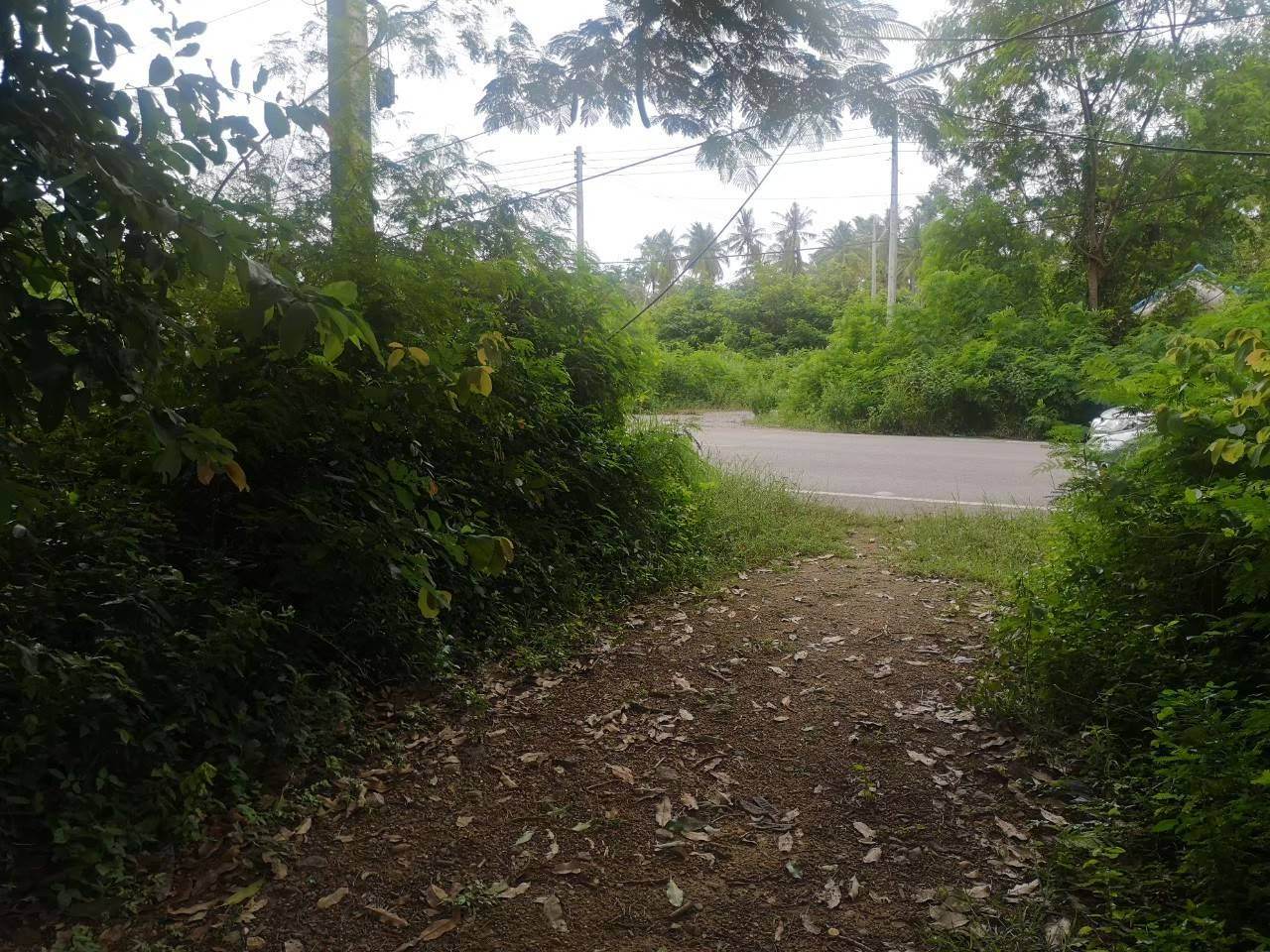 ขายที่ดินประจวบฯ บางสะพาน 26-0-12