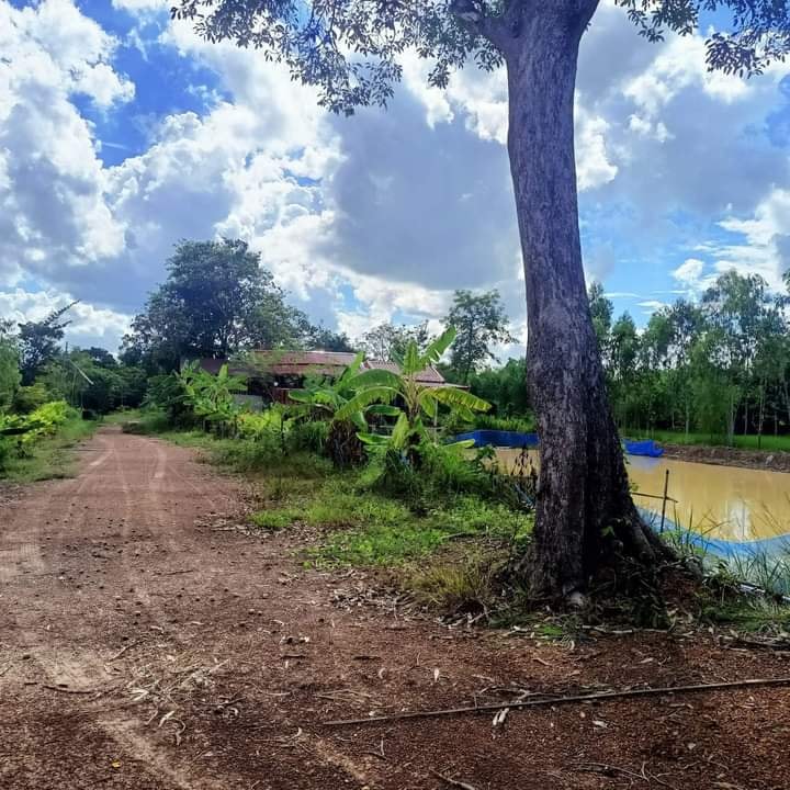 ขายที่ดินพร้อมบ้านไม้ เพ็ญ อุดรธานี 8 ไร่