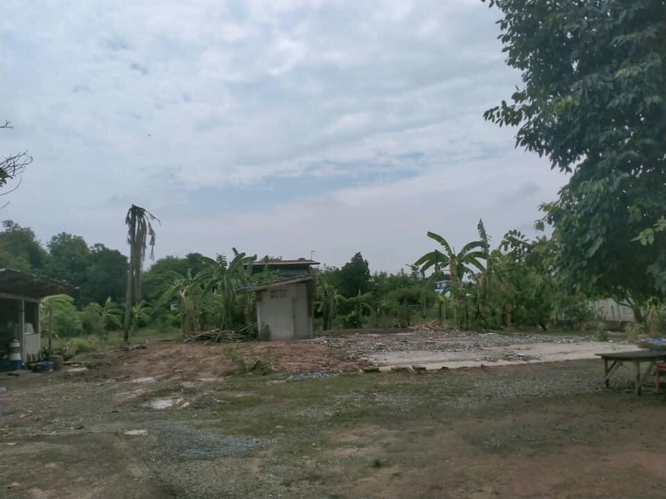 ที่ดินติดถนนคอนกรีต พิษณุโลก 204.8 ตรว.