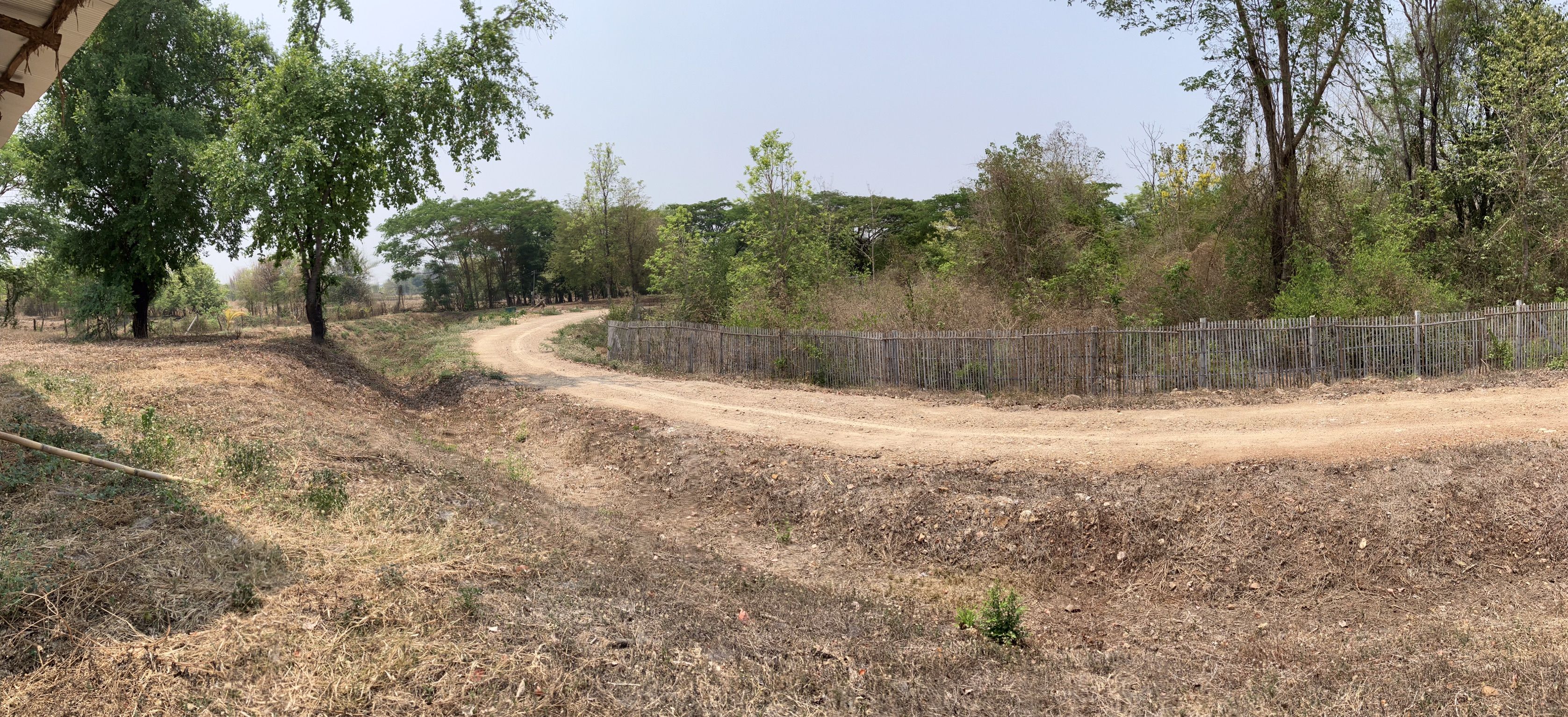 ที่สวน พร้อมฟาล์มวัว ใกล้สนามบินเล็กทองปัญญา และ สวนคาวบอย บ้านโทกหัวช้างลำปาง