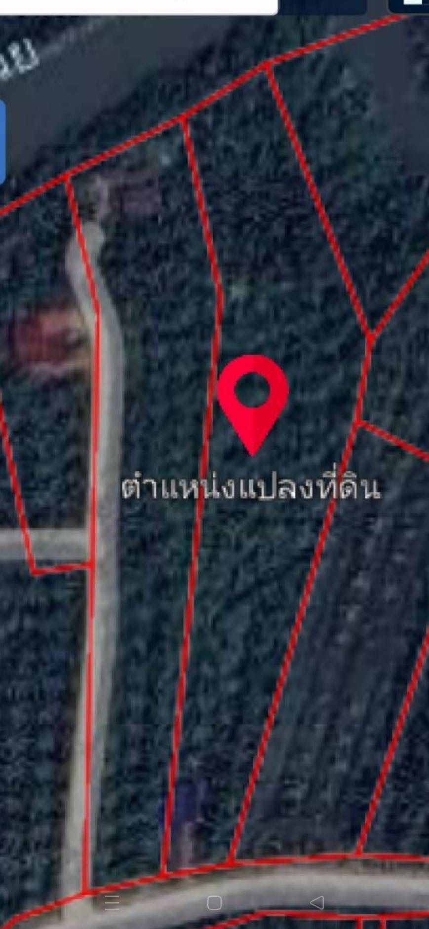 ขายที่ดินสุราษฏร์ ติดถนน ติดแม่น้ำ พร้อม้าน 1 หลังค่ะ