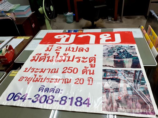 ที่ดินพร้อมต้นประดู่ กาฬสินธุ์ 3-3-0