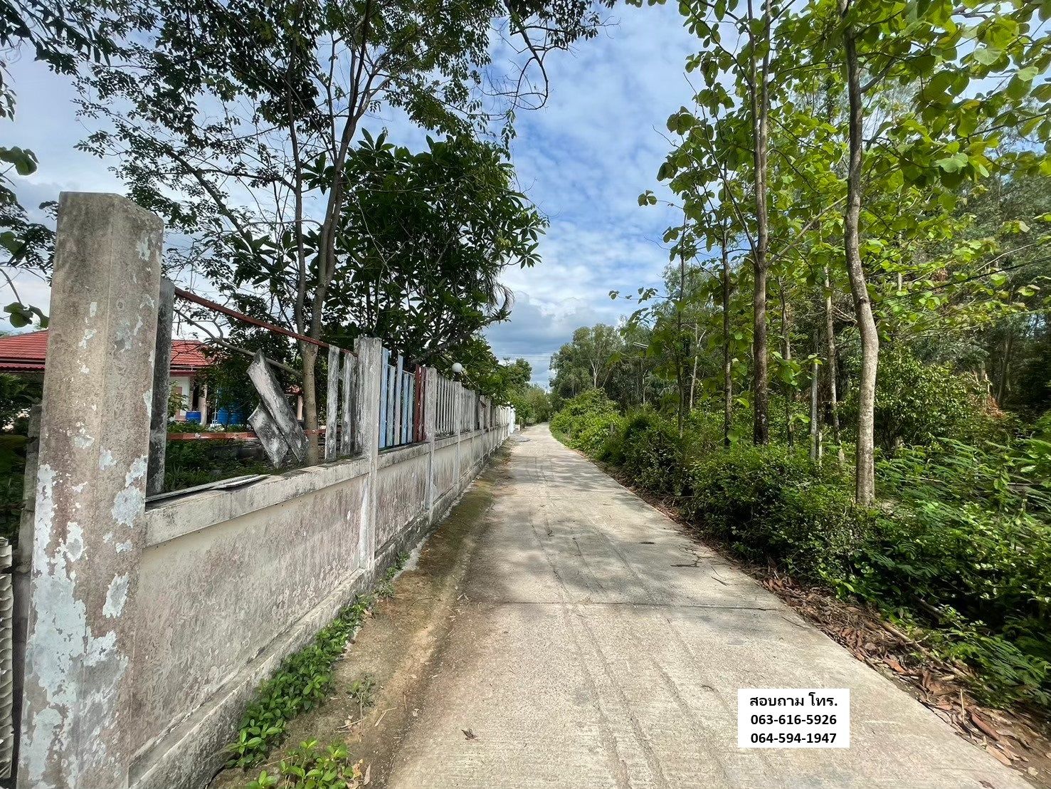 ขายที่ดินนครนายก พร้อมไม้เบญจพรรณกว่า 10 ปี