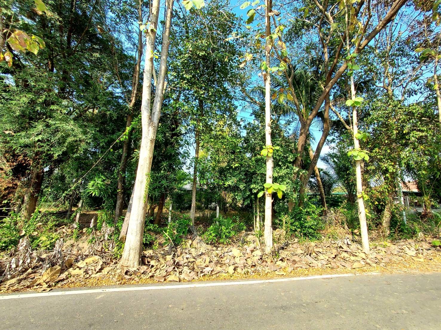 ที่ดินใกล้เมือง อ.สันกำแพง ติดอบต.แช่ช้าง วิวสวย มีถนนคอนกรีตตัดผ่าน