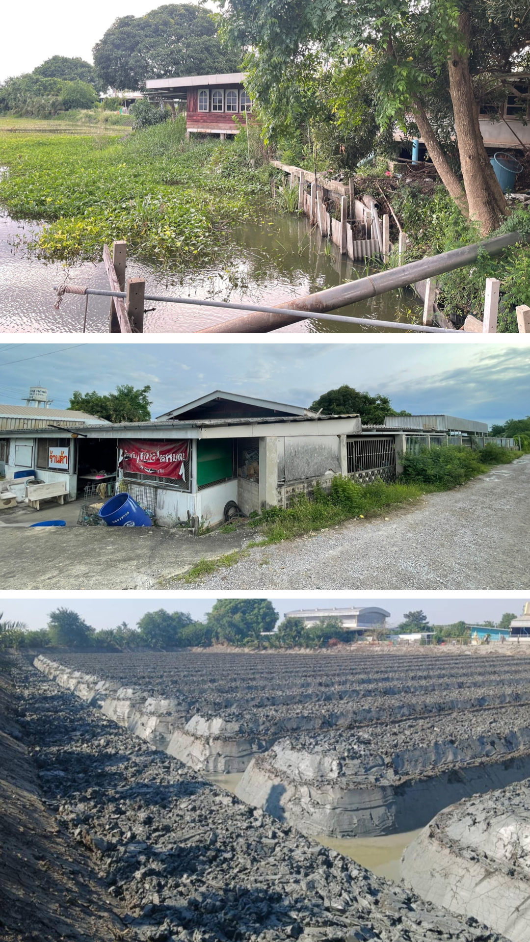 ขายที่ดินบ้านแพ้ว