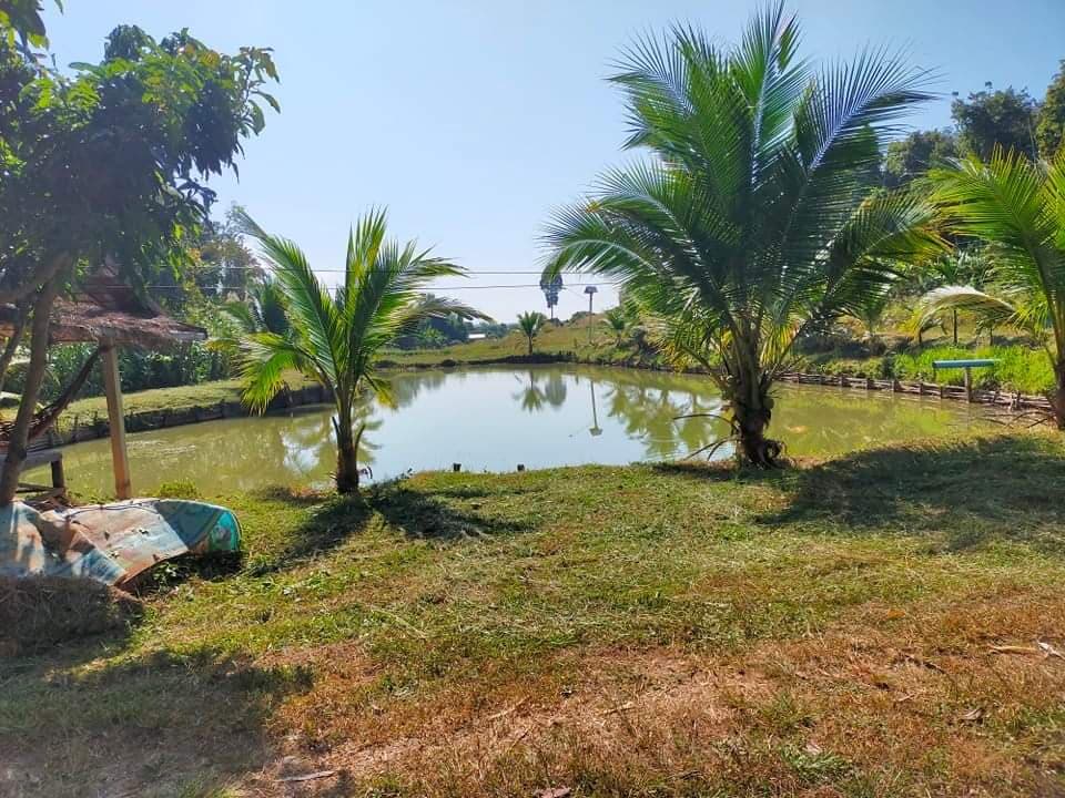 ที่ดินพร้อม(สวนพิกุลการเกษตร) น่าน 15-2-84