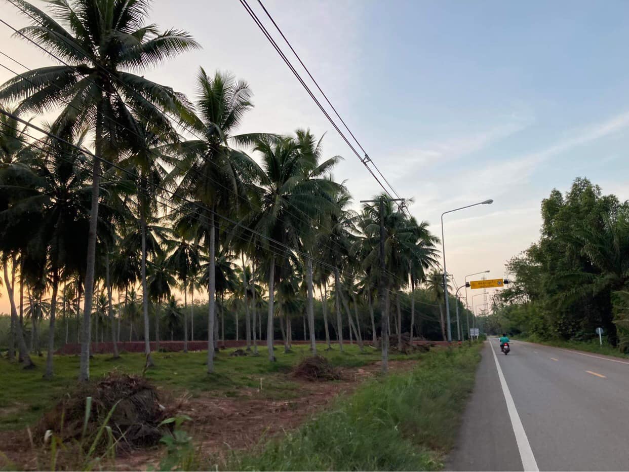 ขายที่ดิน ประจวบคีรีขันธ์ 40-3-52 ไร่