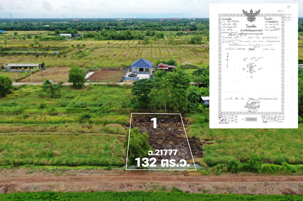 ขายที่ดินปทุมธานี หนองเสือ ที่ดินเปล่า แบ่งขาย คลอง 10 สะพานม่วง