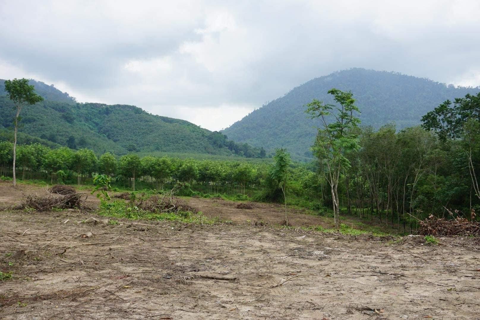 ขายที่ดินสวยทำเลดีวิวภูเขาติดลำธาร บ้านค่าย ระยอง 1-3-40 ไร่