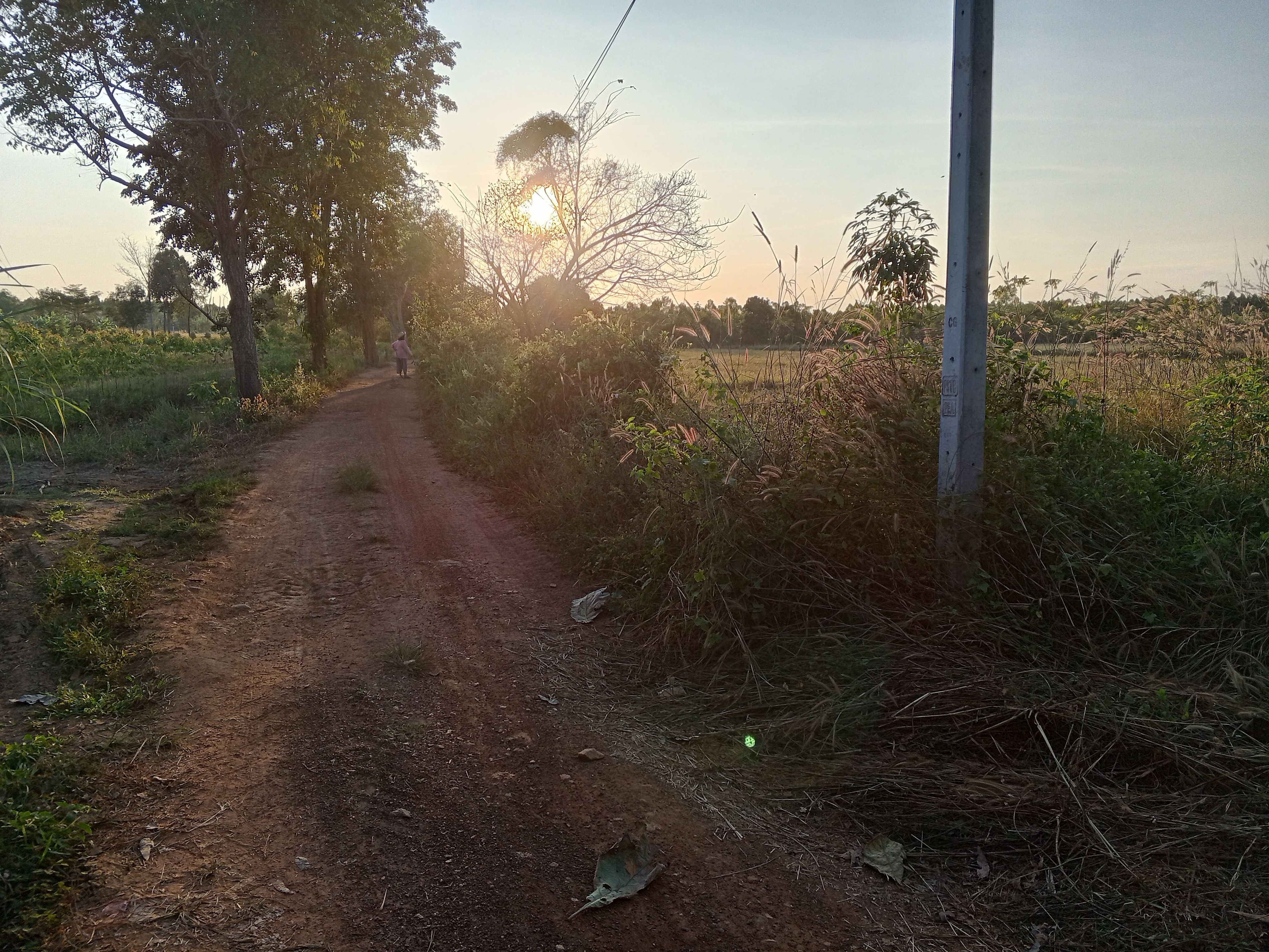 ขายที่ดินสำหรับทำเกษตรแปลงใหญ่